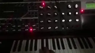 minimoog XL patch sounds something like Yoko