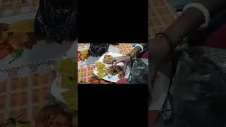 chicken gold coin #shorts #viral #music #song #chickengoldcoin