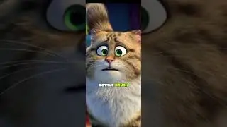 Cat Body Language Explained: Part-1 (What Your Cat Is Really Trying to Tell You)