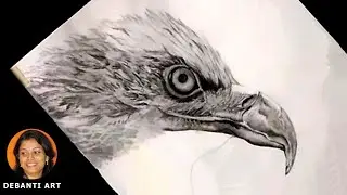 How To Draw Photo Realistic Eagle Drawing, How To Draw Hyper Realistic Eagle With Pencil - Part 1