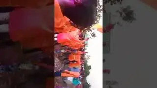 Dapora mahol