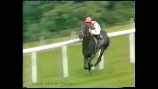 1986 Select Stakes Dancing Brave Inc Replay & Analysis By Guy Harwood
