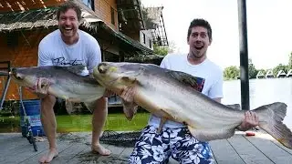EXTREME CATFISHING | THAILAND VLOG 03