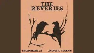 Necromancer (Acoustic Version)