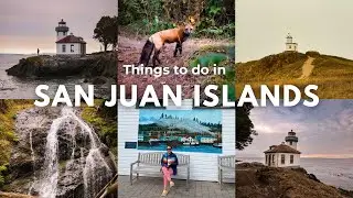 Weekend Trip to the San Juan Islands 🐳 | Washington State Travel Guide