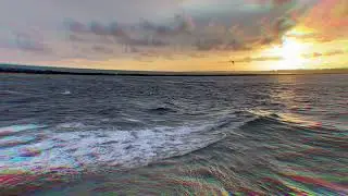 Sunset Dolphin cruise in Destin Florida