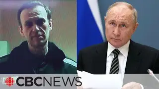Putin critic Alexei Navalny located in penal colony north of Arctic Circle