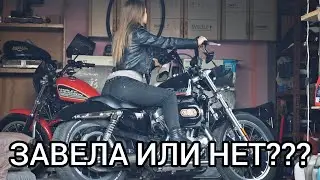 Harley Davidson Sportster 883 Заклинил мотор, что случилось, намучился...??