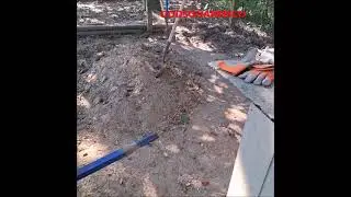 БП: Устойчивые к лекарствам паразиты на ферме. Разрыв цикла болезней. Экономический коллапс, Трет...