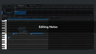 Editing Notes