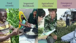 LDF Activity Report 2023