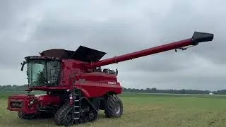 48 2019 Case IH 8250 Combine with Tracks