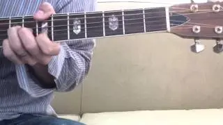 The Lonely One - Wipers (Acoustic Cover Version)
