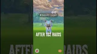 ✨102 R&aacute;idsl SHINY: Rockruff & Lycanroc Midnight (Nocturno) 🐺✨ Pogo l #NEW #rockruff #lycanroc #shiny