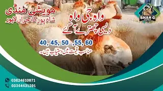 Shahpur Mandni me baray or Khobsoorat Chatray aa Gaaye