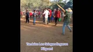 balseria tradicional quebrada de loro 2024