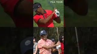The Tiger Legacy: Best Shots from Tiger & Charlie Woods