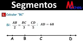 Segmentos | Calcular BC | Ejercicio 5