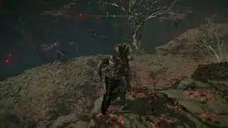Elden Ring 4K Gameplay - Elphael Inner Wall - Haligtree Knights - Sweet Revenge
