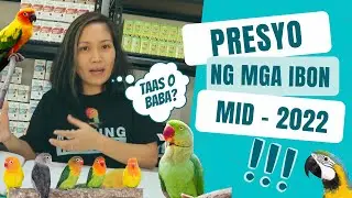 MAGKANO ANG MGA IBON NGAYONG MID-2022? Bird Prices in the Philippines | Munting Ibunan