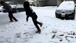 Snowball Baseball January 2025
