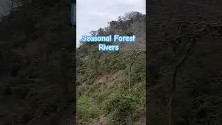 Forest Rivers In African Forests #forests #travel