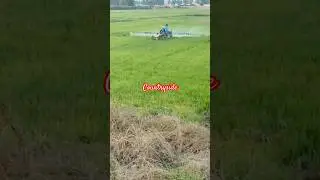 Countryside farmer&rsquo;s activities 💕😍💕 #shorts #countryside #farming