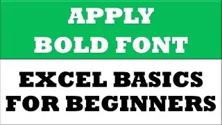 How to apply bold font in Excel 2016 | Excel Basics