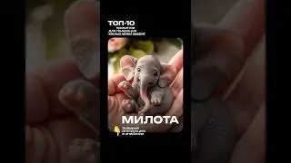 ТОП-10 промптов для генерации милых маленьких зверят! #shorts #ai #cover #reels