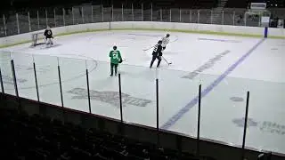 Dallas Stars Training Camp - Boise, Idaho