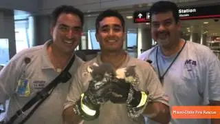 Kittens Rescued from Ceiling at Miami International Airport