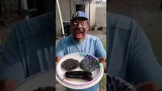 Backyard Barbecue Blunders: The Careless Cookout!#barbecuefails #cookingmishaps