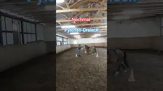 Cone triangle slalom #horse #training #shorts
