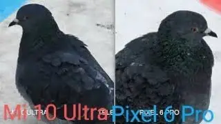 Xiaomi 10 ultra vs Pixel 6 Pro / Часть 3 / Архитектура - фото видео