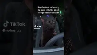 😅 #cartok #carmemes #cars #memes #meme #shorts