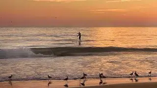Sunset Ocean Escape (11h Stream)| Endless Waves for Relaxation, Meditation & Sleep #onlycoastalvibes