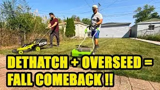 Helping My Friend Revive His Lawn I Fall Dethatching & Overseeding Guide
