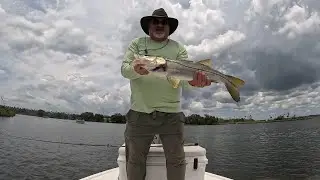 Backcountry Snook,Tarpon and trout Crystal River.#bullbayrods #fishing #inshorefishing