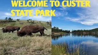 CUSTER STATE PARK THINGS TO DO AND SEE