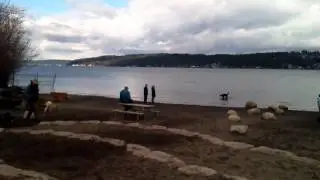 Magnuson dog park