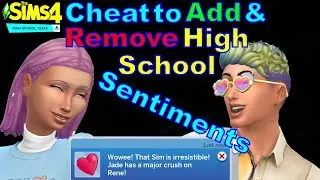 How to Cheat to Add and Remove High School Years Sentiments