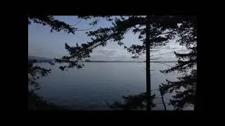 Lighthouse Park, West Vancouver Virtual Walk and Flyover