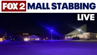 LIVE | Woman stabbed at Kids Footlocker in Taylor over payment argument