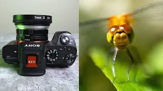 Sony E-mount Macro Extension Tube - Turn Any Sony Lens into a Macro Lens