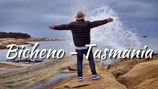 TASMANIA - Bicheno Blowhole and Lobster Shack