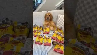 Teddy got the tastiest deal ever with @ZukesPets !