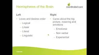 Whole Brain Parenting