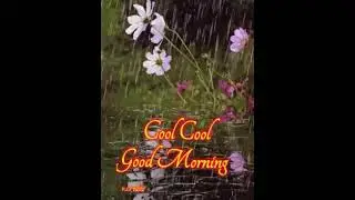 gdmg