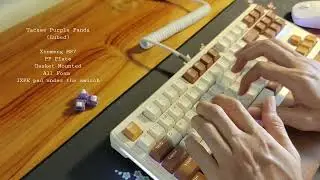 Purple Panda with IXPE Underpad Typing Sound Test | Xinmeng M87