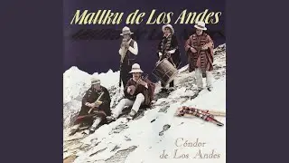 Jauja